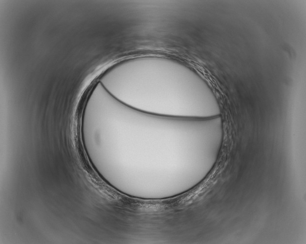 X0000111250342200907021024