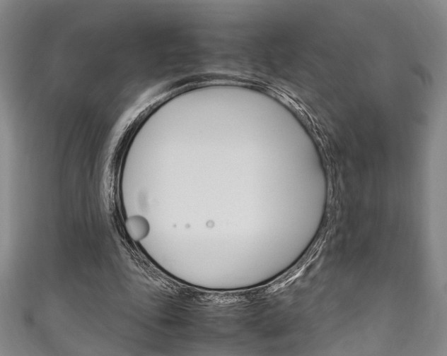 X0000111250343200907021024
