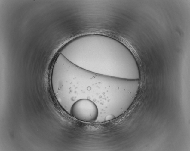 X0000111250346200907021024