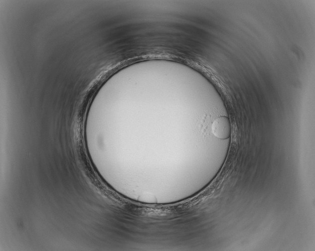 X0000111250347200907021024