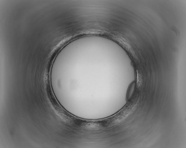X0000111250348200907021024