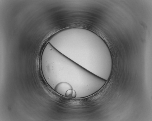 X0000111250349200907021024