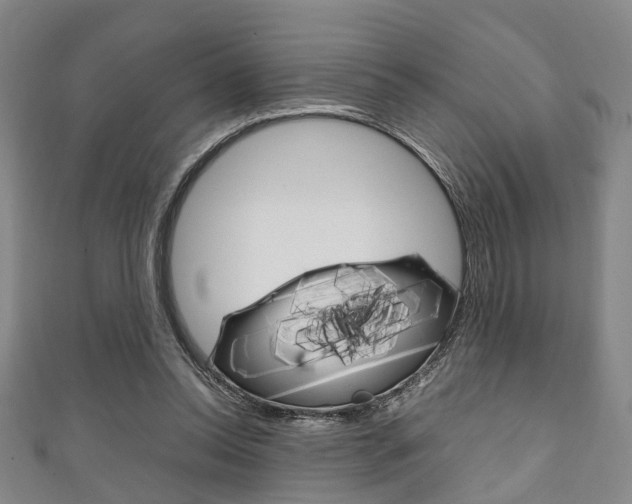 X0000111250350200907021024