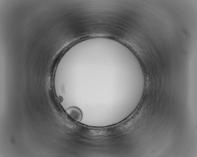 X0000111250351200907021024