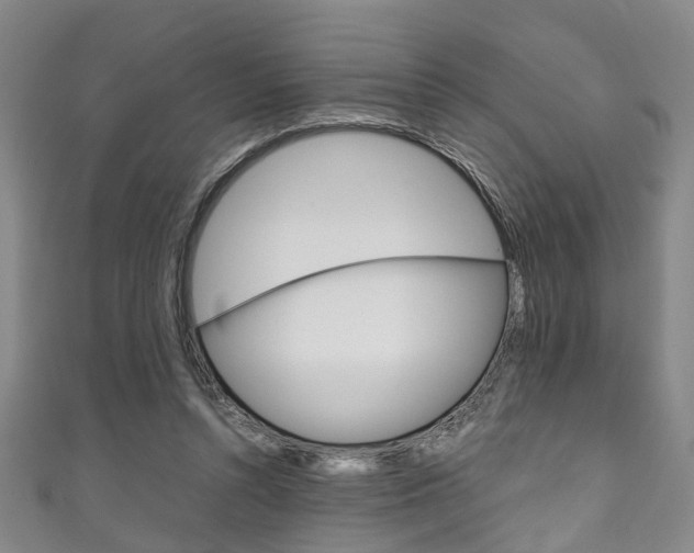 X0000111250352200907021024