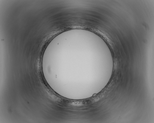 X0000111250353200907021024