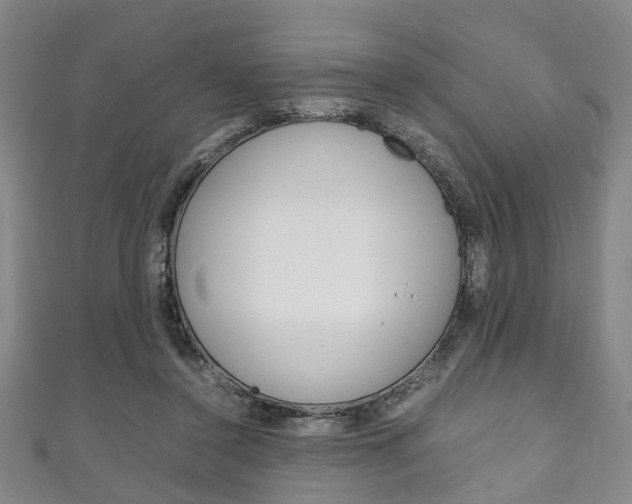 X0000111250356200907021024