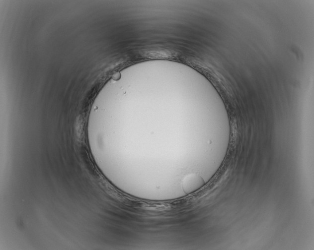 X0000111250359200907021024