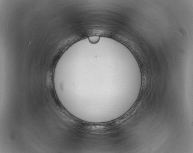 X0000111250361200907021024