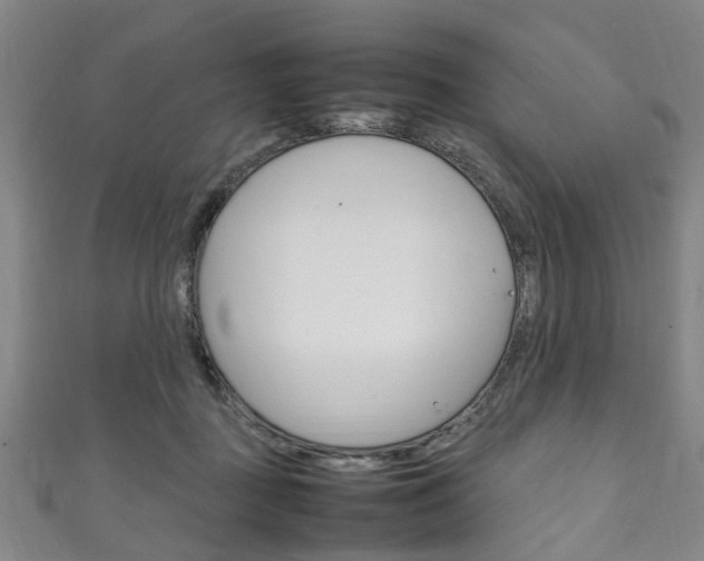 X0000111250363200907021024