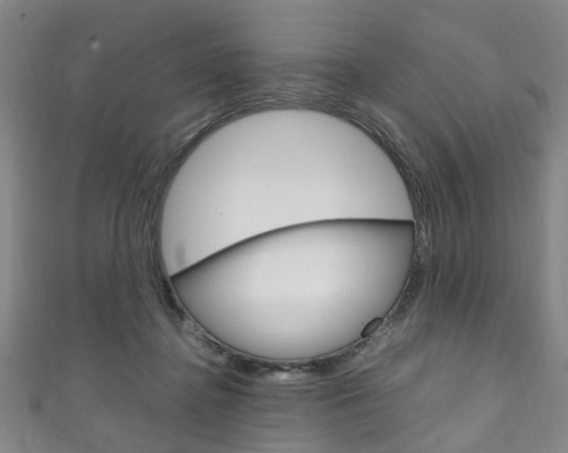 X0000111250364200907021024