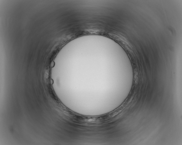 X0000111250365200907021024