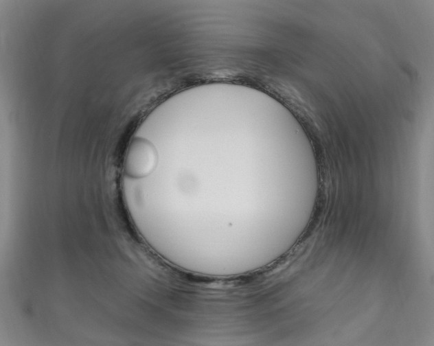 X0000111250366200907021024