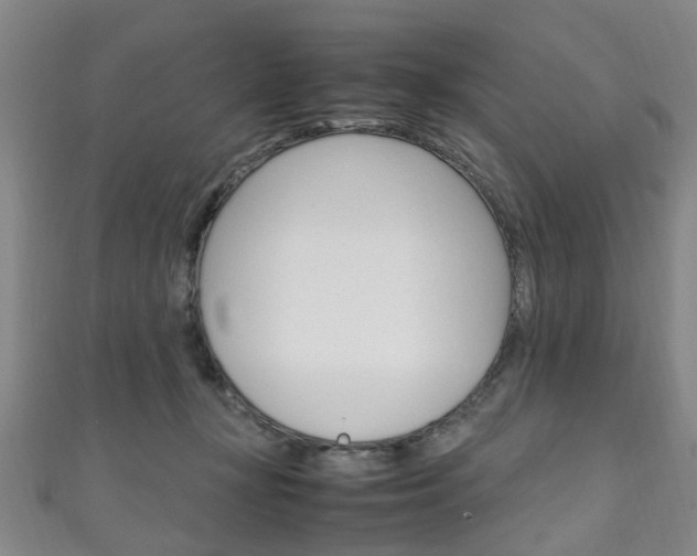 X0000111250367200907021024