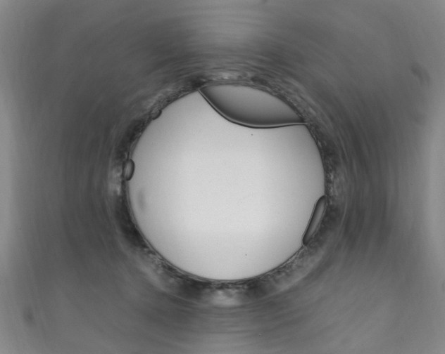 X0000111250368200907021024