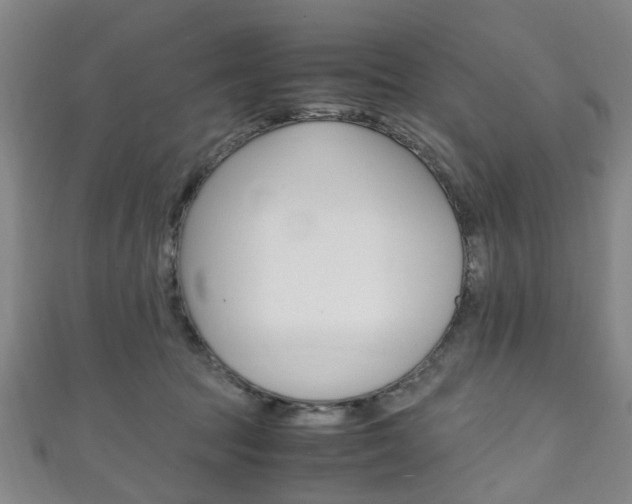X0000111250369200907021024