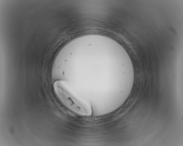 X0000111250370200907021024