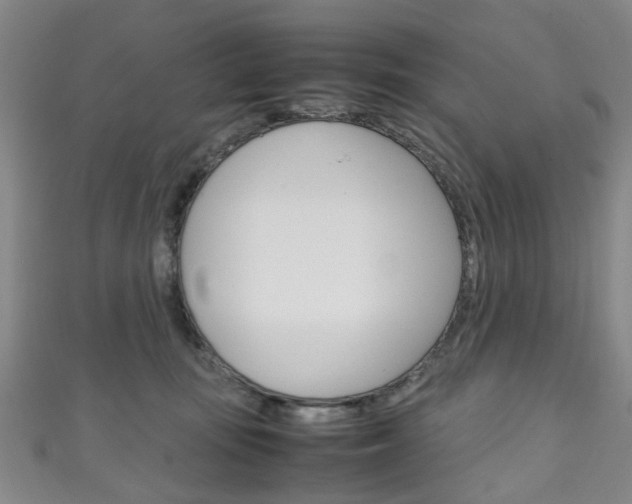 X0000111250371200907021024