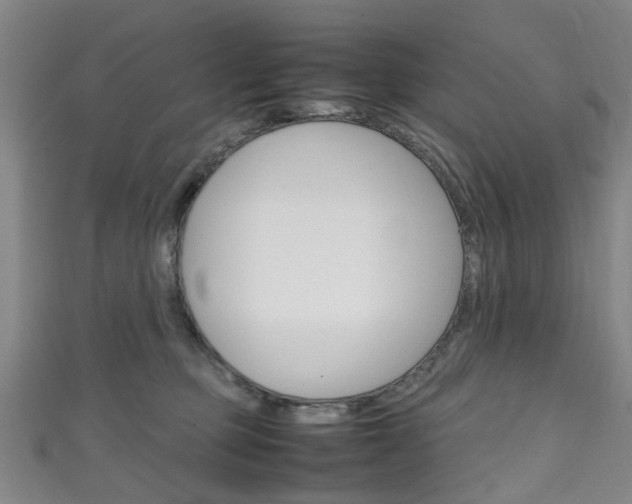 X0000111250373200907021024