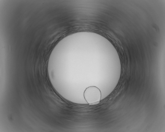 X0000111250376200907021024