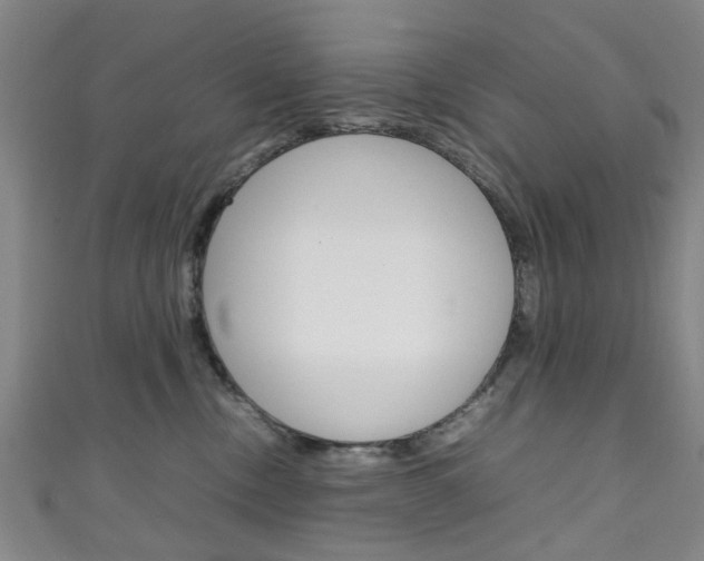 X0000111250378200907021025