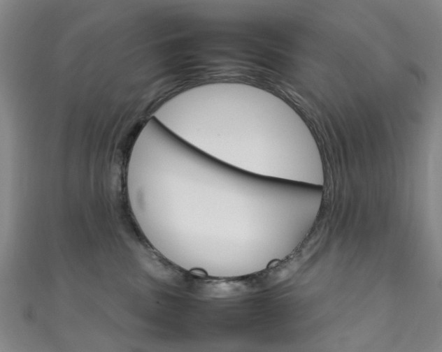 X0000111250379200907021025