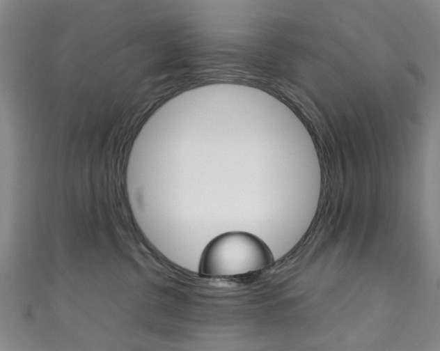X0000111250380200907021025