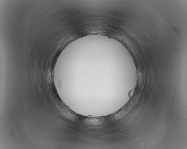 X0000111250381200907021025