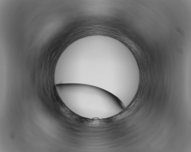 X0000111250382200907021025