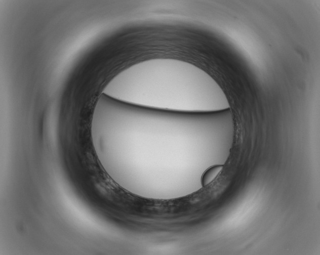 X0000111250383200907021025
