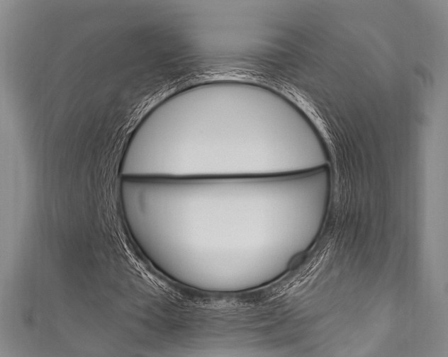 X0000111250385200907021024