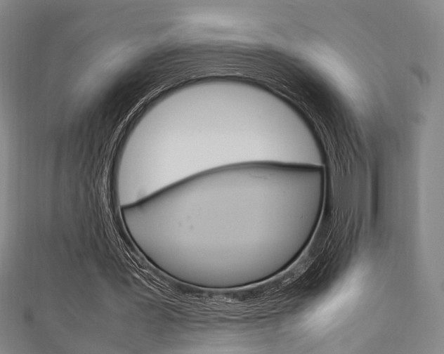 X0000111250387200907021024