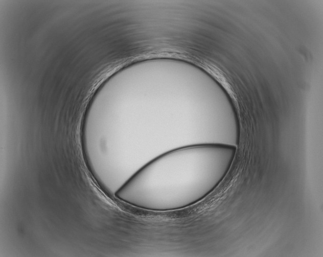 X0000111250389200907021024