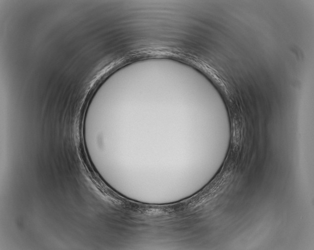 X0000111250390200907021024