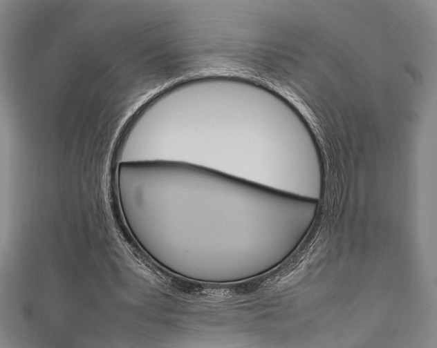 X0000111250391200907021024