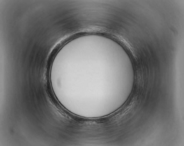 X0000111250392200907021024