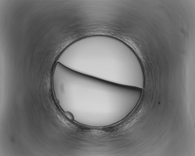 X0000111250393200907021024