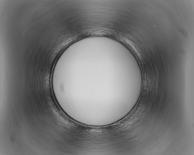 X0000111250394200907021024