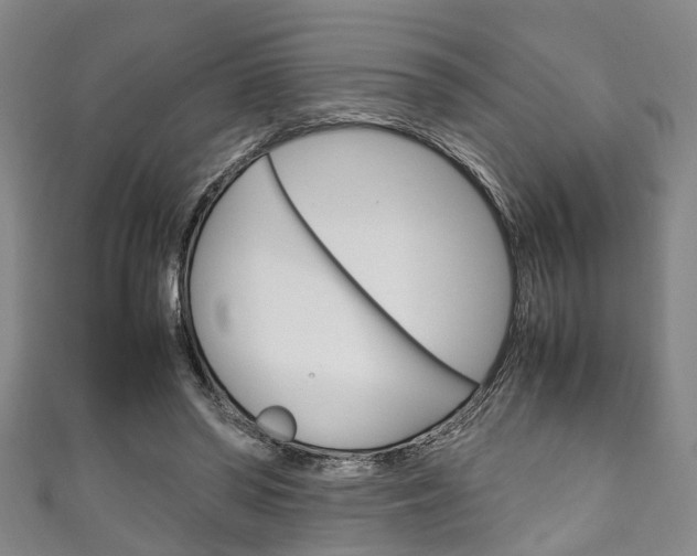 X0000111250398200907021024
