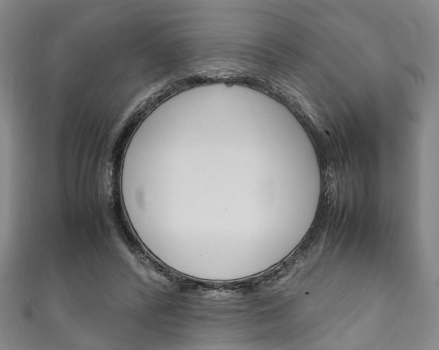 X0000111250400200907021024