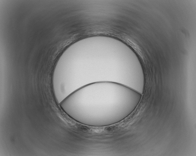 X0000111250401200907021024