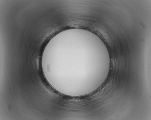 X0000111250404200907021024
