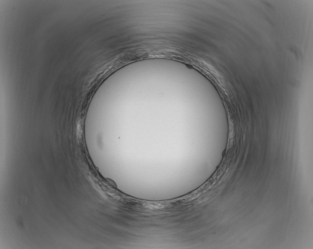 X0000111250405200907021024