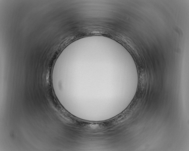 X0000111250406200907021024