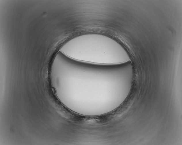 X0000111250407200907021024