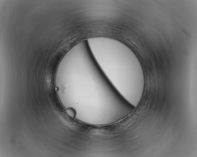 X0000111250408200907021024