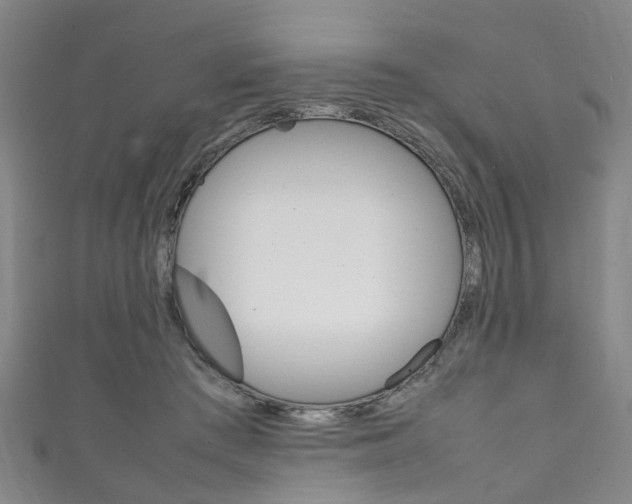 X0000111250409200907021024