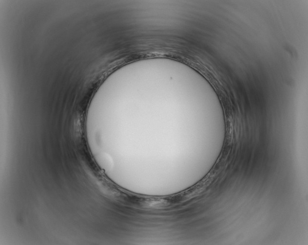 X0000111250410200907021024