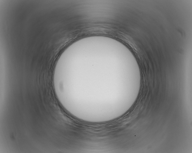 X0000111250411200907021024