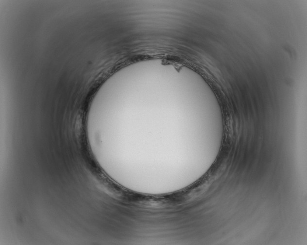 X0000111250412200907021024